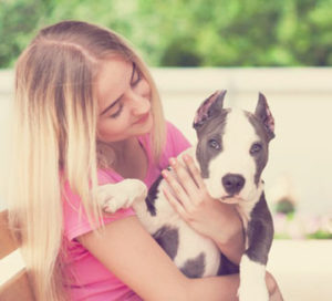 blond-haired girl in pink shirt holds brown and white pit bull to show that dogs can be good neighbors