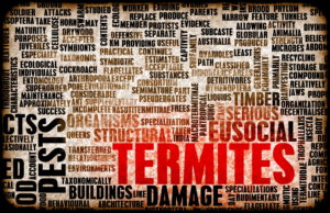 termite tutorial